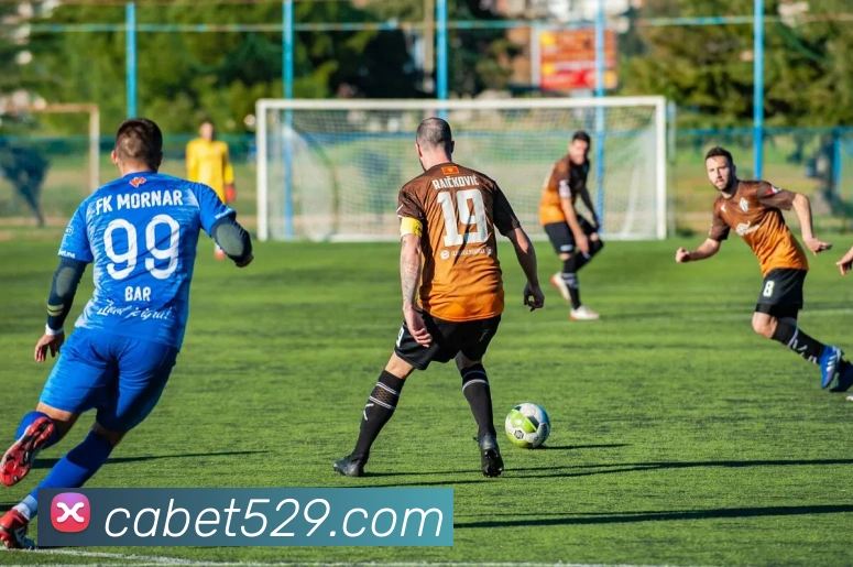 互动解说服务